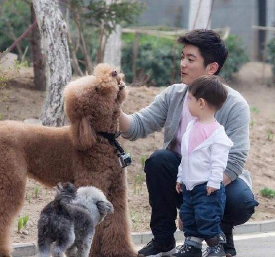 2020狗价格排名_2020年动物身价名单揭晓!这下长见识了,最贵的