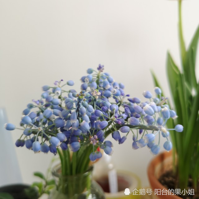 腾讯内容开放平台