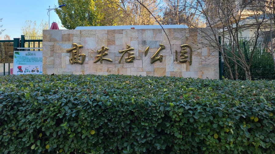 大兴这座精致公园初冬太美了!