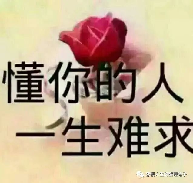 懂你的人一生難求