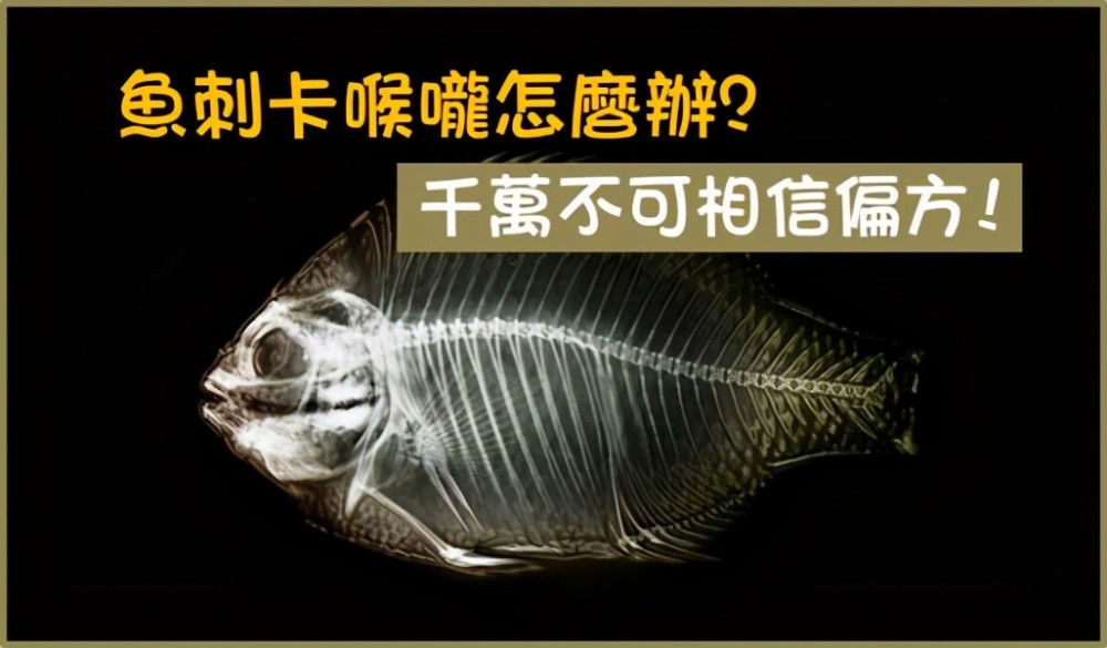 饅頭試圖將魚刺帶入胃裡,但是吞嚥的力度太大魚刺穿破食管扎入了心臟