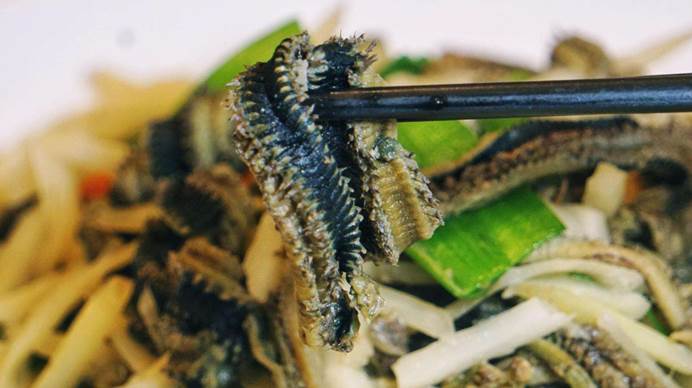 海蜈蚣与禾虫图片
