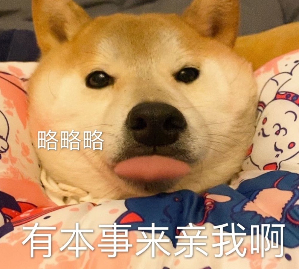萌宠表情包略略略有本事来亲我啊