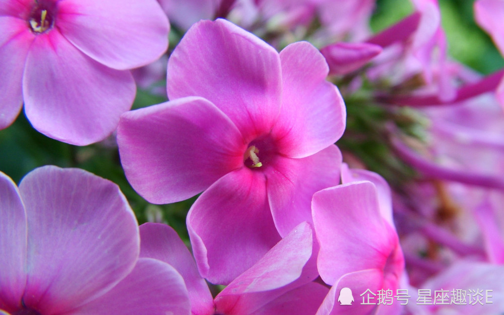 11月25日星座运势 扬帆起航 展露风采的四大星座 腾讯新闻