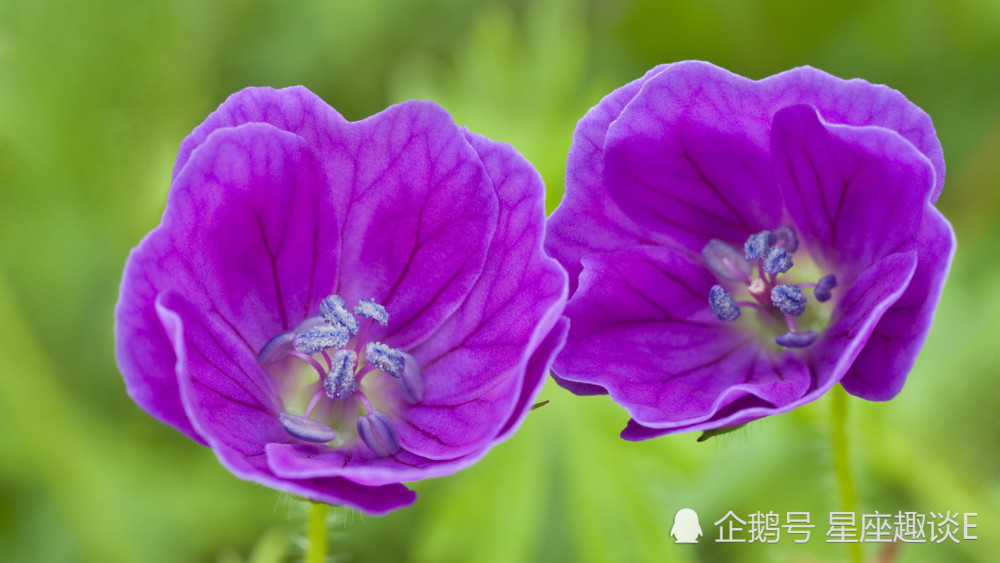 11月25日星座运势 巨蟹目标清晰 天蝎执行力强 双鱼随机应变 腾讯新闻