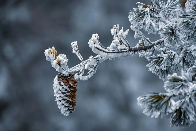 雪|云海飘渺，雪山壮观，赏雪就来白云山