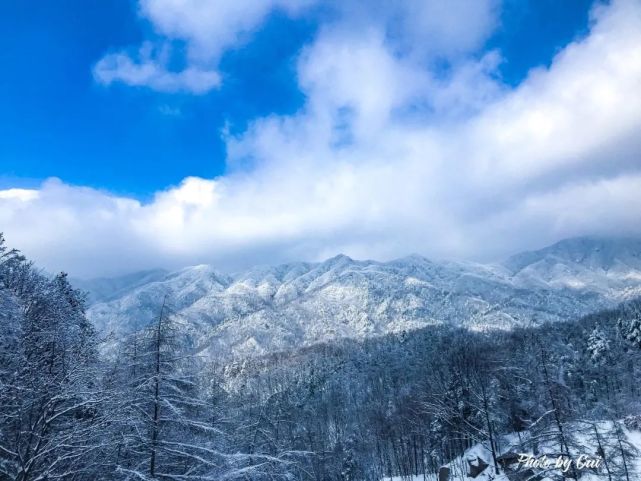 雪|云海飘渺，雪山壮观，赏雪就来白云山