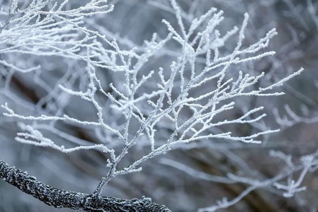 雪|云海飘渺，雪山壮观，赏雪就来白云山