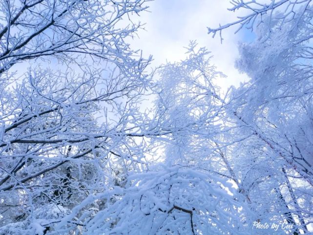 雪|云海飘渺，雪山壮观，赏雪就来白云山