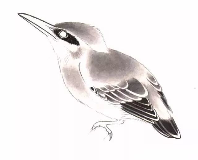 第三步:用花青分染,用三青,石绿对染头,背(前蓝后绿).