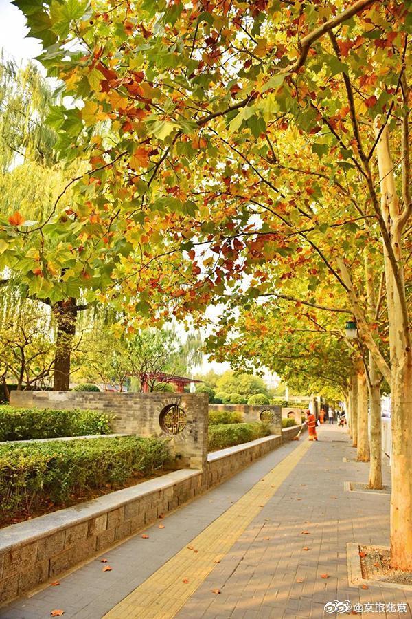 东花市街道黄昏美景|东花市街道|北京