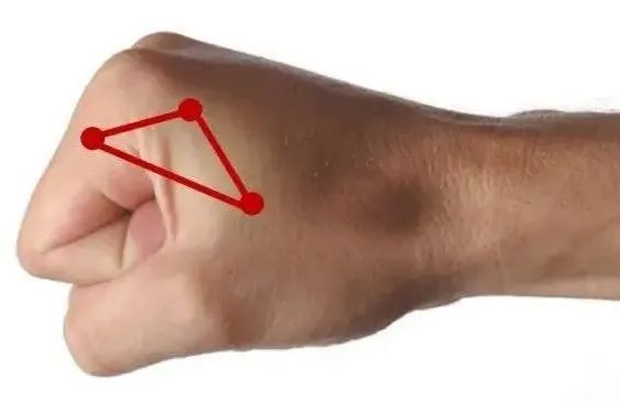 人体重要的功能区域5个致病三角区养好了百病难扰