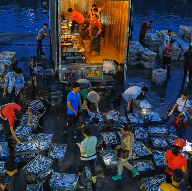 佳茵影像今日读图:《侨港码头搬运工》_腾讯新闻