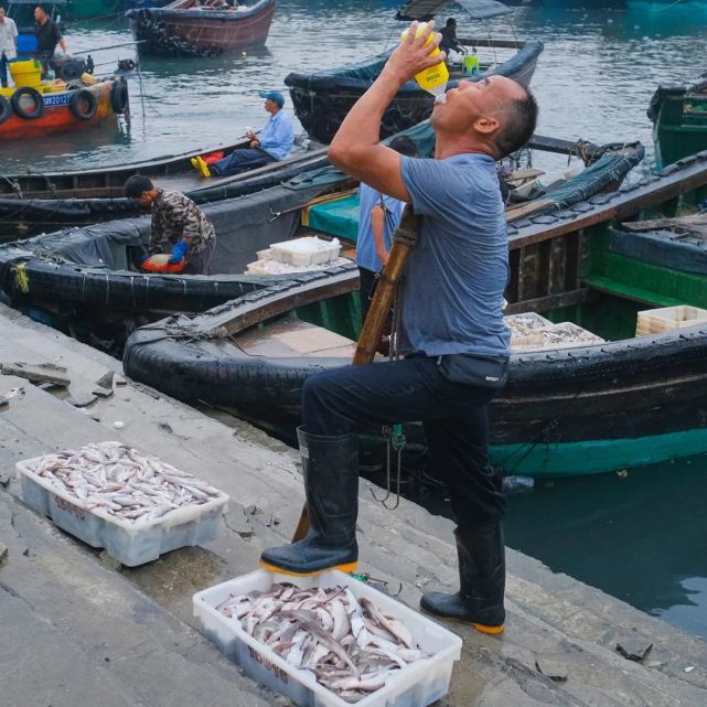 码头海鲜搬运工图片