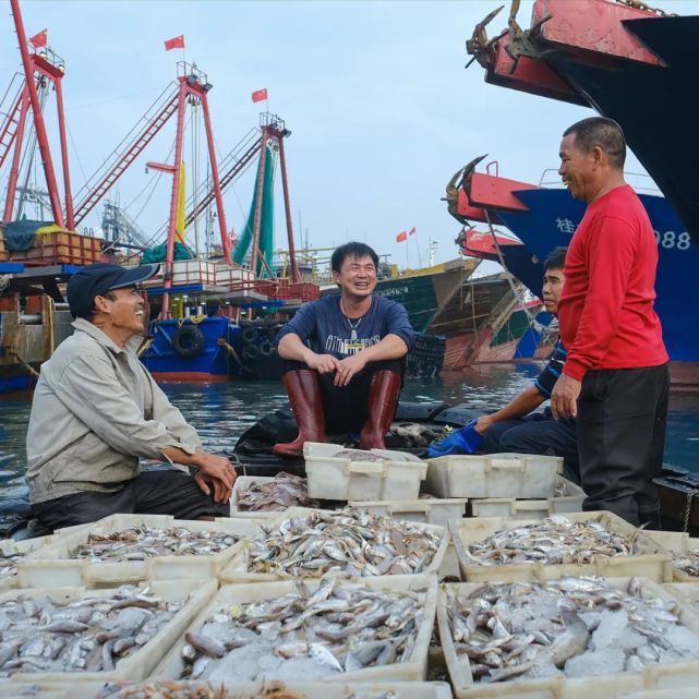 码头海鲜搬运工图片