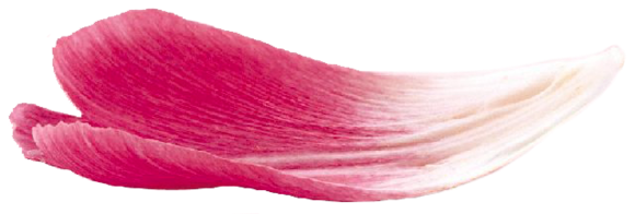 无厘头 古风小说 一朝穿越成女鬼 腾讯新闻