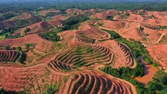 从荒漠到绿洲千烟洲的立体农业奇迹