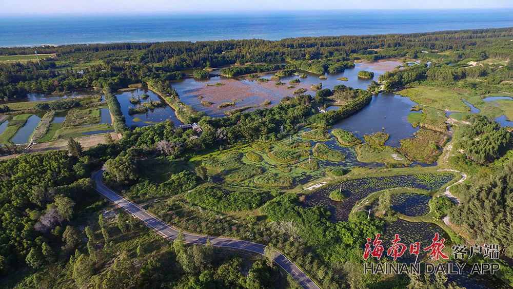 海南昌江海尾湿地公园图片