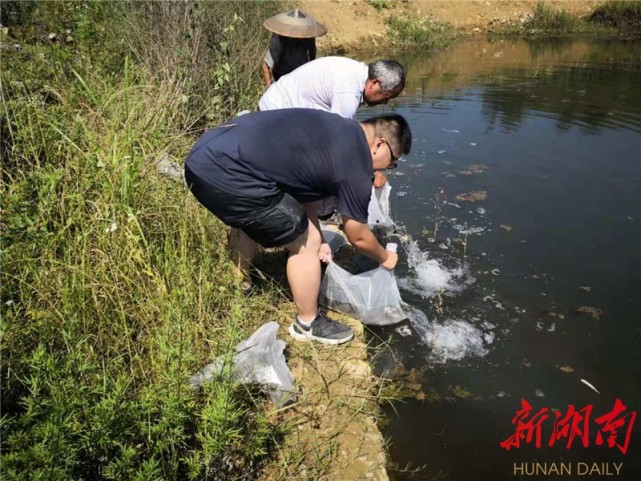 花垣县石栏镇猫儿坡村图片