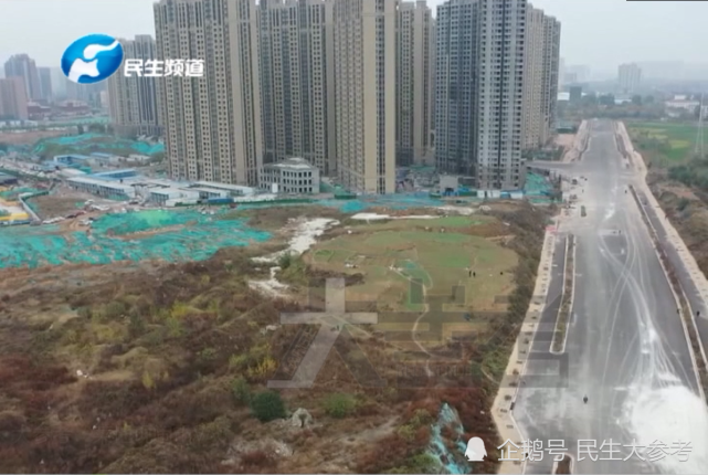 闹市区惊现 都市小菜园 高楼林立也挡不住种菜的热情 闹市区