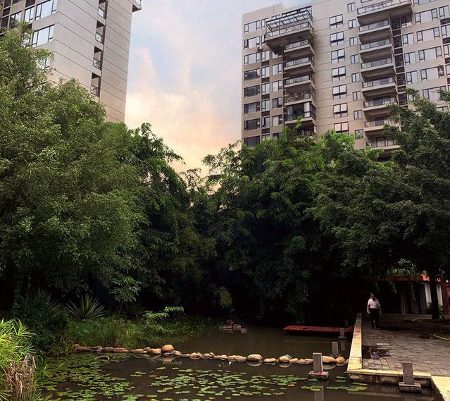 调查女老板失联房子被查封惊曝三亚南枫禅墅108户购房者被坑内幕