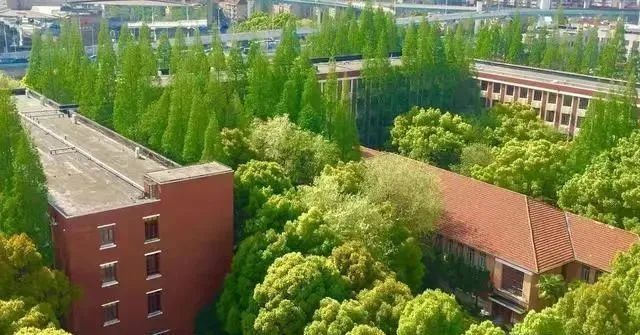 上海高校2020最新排名_由2021保研率看上海高校排名!复旦榜首,上科大超上交