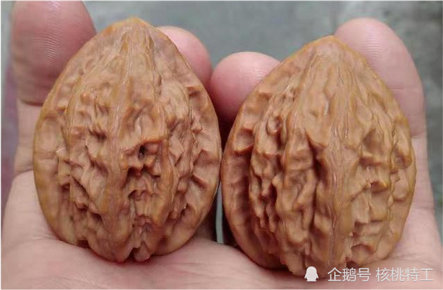 150种文玩核桃品种分享之20大红袍