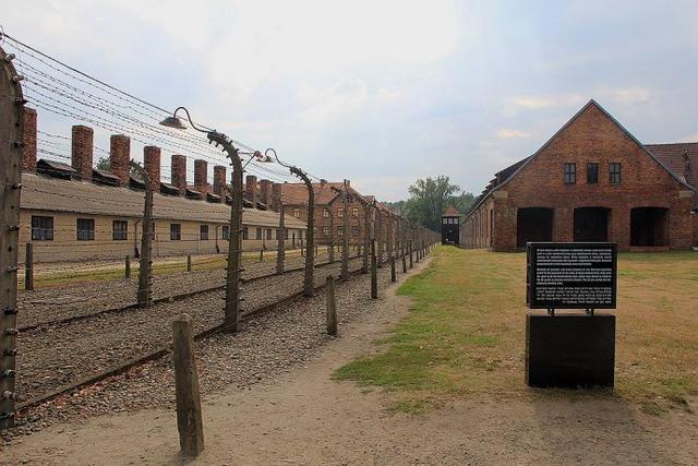 直击纳粹集中营遗址:布满了通电铁丝网,图4陈列着遇害人的照片