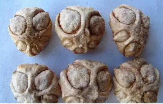 俗称"人面子",果实像人脸,10年未必结果,运气好才吃到