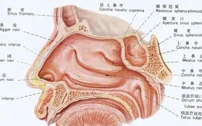 睡覺打呼嚕的原因以及危害!如何治療,教你幾招,趕走