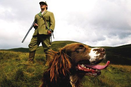 通缉捷克警方正在追捕森林中抢了猎人猎枪的逃跑的雄鹿