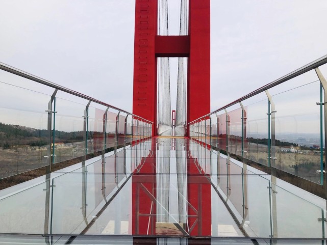 山东青州九龙峪:树满坡,民众唱起幸福歌