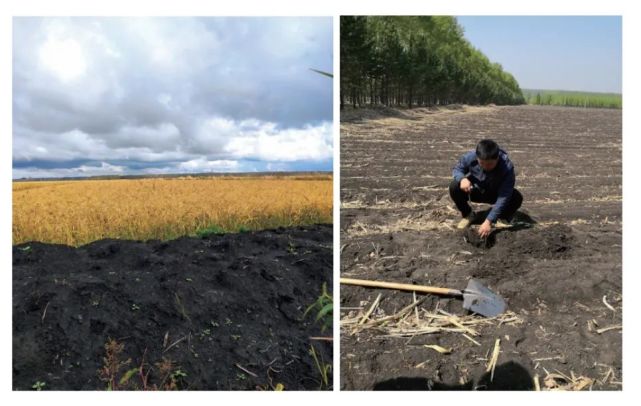 成果快訊東北兩大平原農耕區土地質量地球化學狀況查明