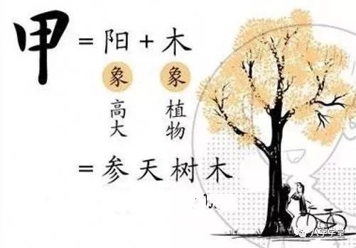 穷通宝鉴四季日主天干宜与忌——甲木