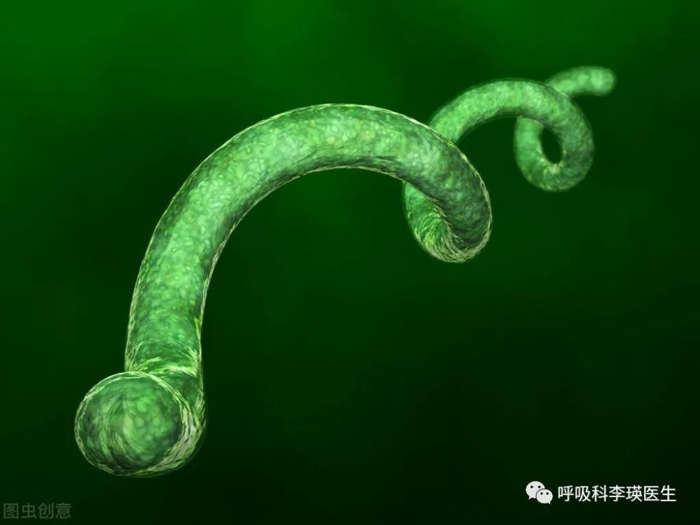 得了支气管扩张,痰液多怎么办?