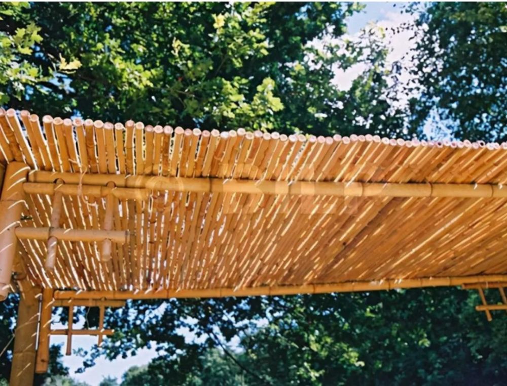 简直太棒了~但是也要提醒大家注意:用来搭建廊架的竹子最好事先