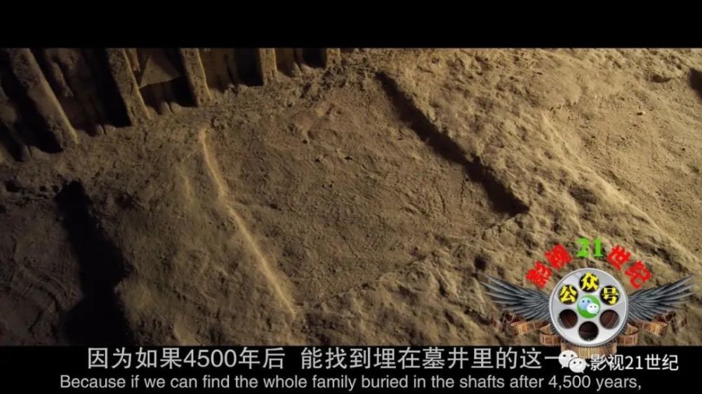 《塞加拉陵墓揭秘》2020美国高分考古纪录片!4400年古墓