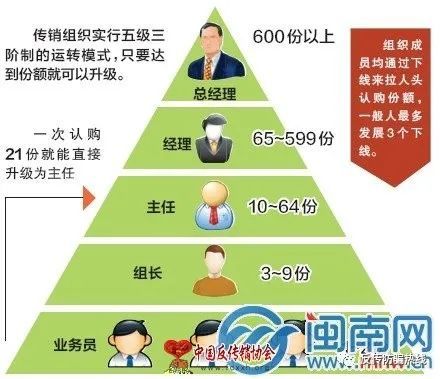 益阳一女子在南宁从事传销活动 发展下线400多人判刑5年6个月(图2)