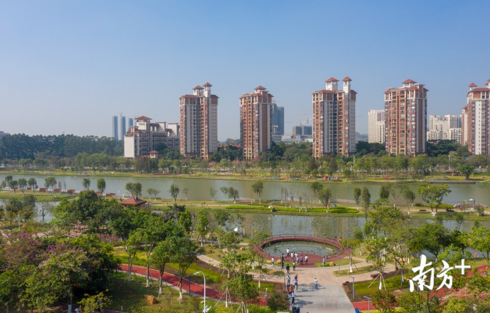 擦亮滨海新城名片,南沙治水拆违成效显著