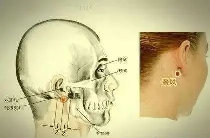 触诊|脊椎的精确定位及触诊技巧