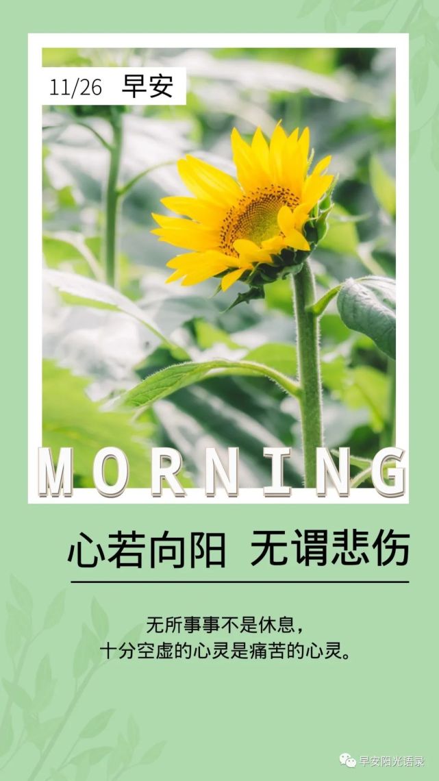 早安阳光心语没有诚实何来尊严