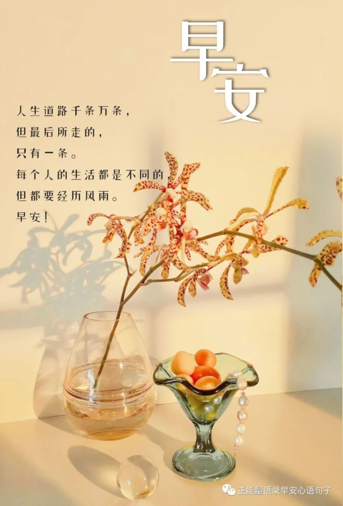 11月30日早安心语忙碌充实的早安生活励志句子辛苦但值得一看的早安