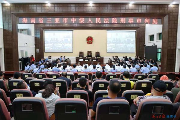 海南一黑社会组织女头目一审被判刑24年|张丽娟|神龙公司|董霞