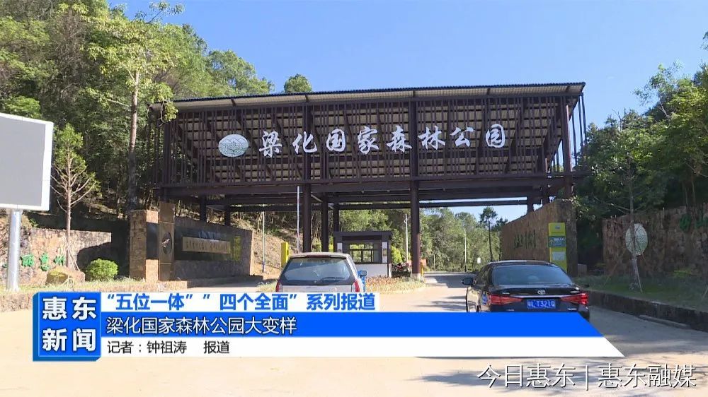 梁化国家森林公园大变样_腾讯新闻