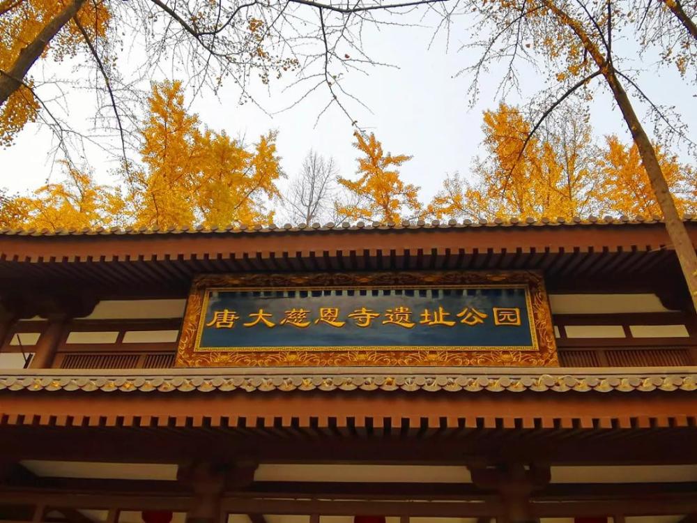 唐大慈恩寺遺址公園南大門