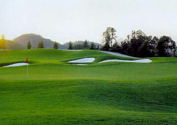 高尔夫球场常用的草坪-果岭草的园林价值