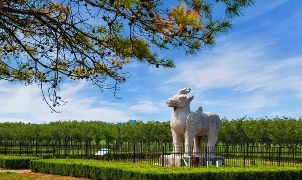 順陵天祿雕塑原型除了石走獅,石天祿,楊氏墓前兩側還現存四隻石羊.