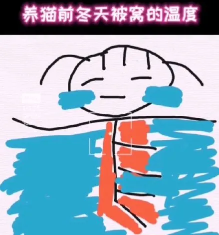 我只有猫可以抱""去了趟卫生间刚回来,我家猫已经在被窝里躺好暖着了