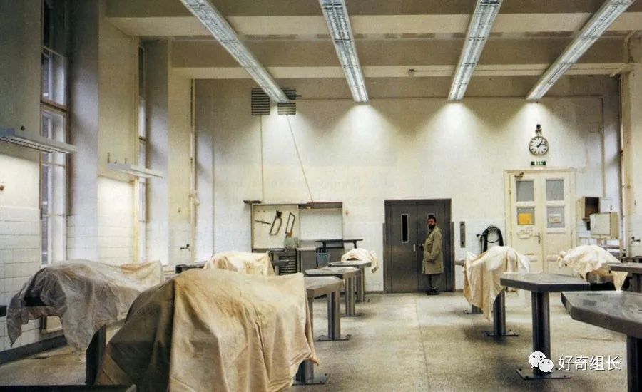 纳粹人体构造图谱的邪恶黑历史_腾讯新闻