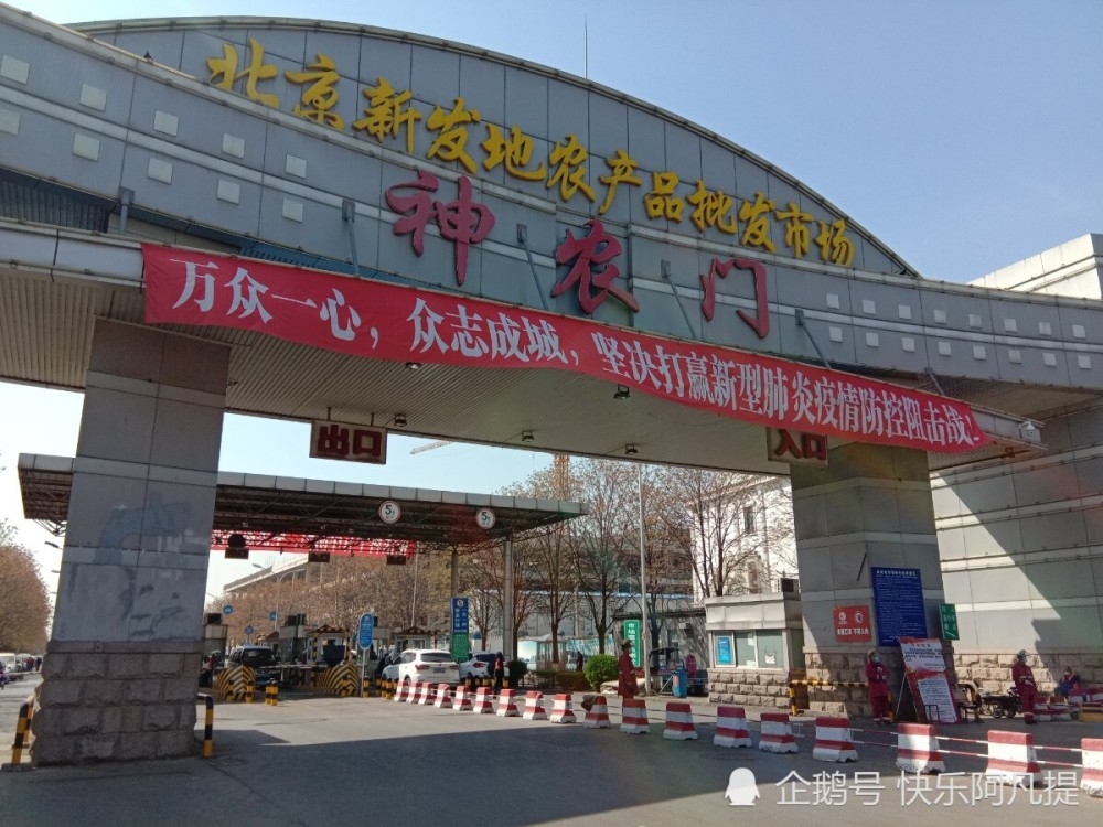 海鲜批发行业动态：新趋势与挑战